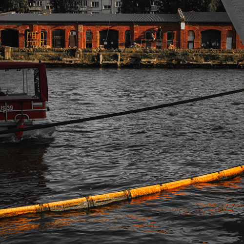 Photo #14024891