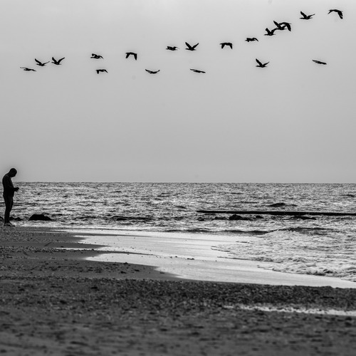 Photo #14025003