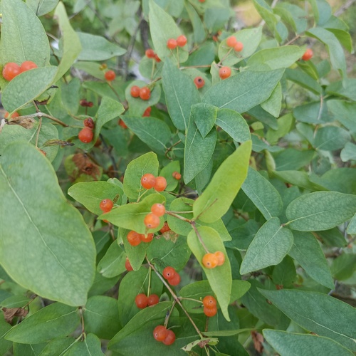 Photo #14025055