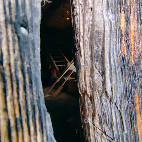 Photo #14025066