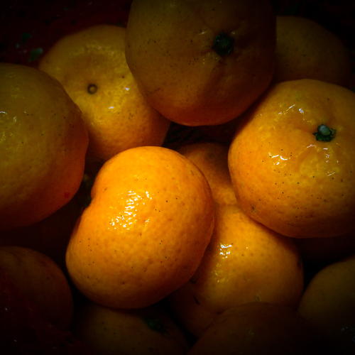 Photo #14025153
