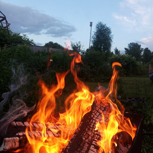 Photo #14025187
