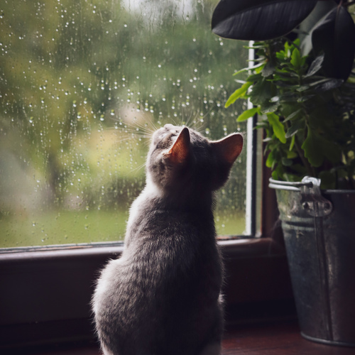 Photo #14025208