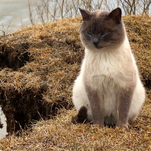 Photo #14025242