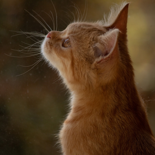 Photo #14025249