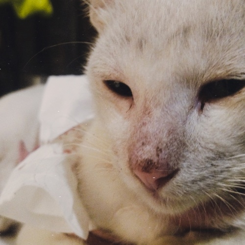 Photo #14025262