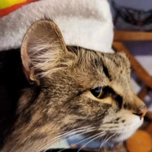 Photo #14025263