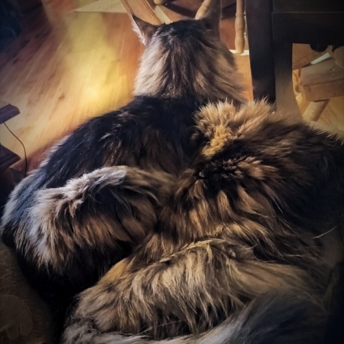Photo #14025264