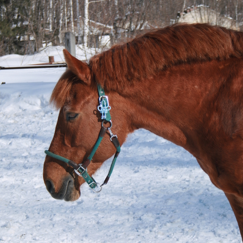Photo #14025267