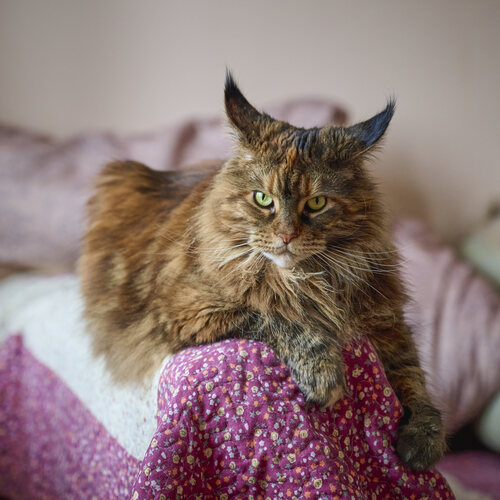 Photo #14025269