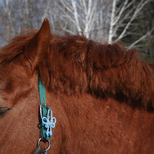 Photo #14025280