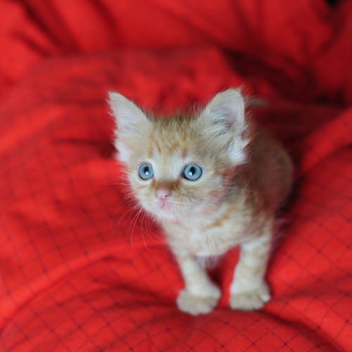 Photo #14025296