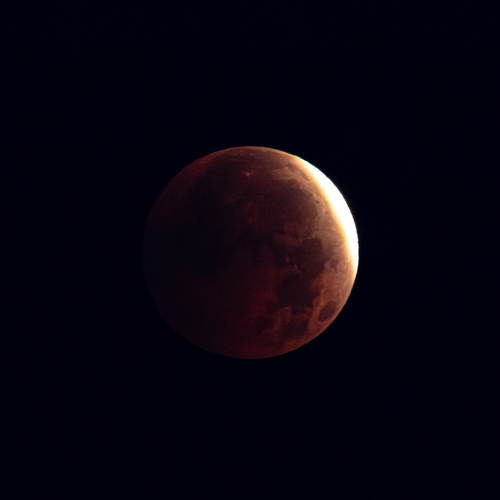 Photo #14025381