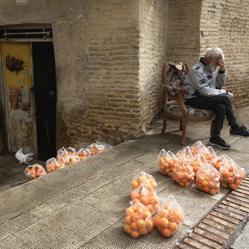 The old man and the pigeon