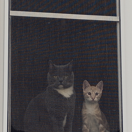 Photo #14025477