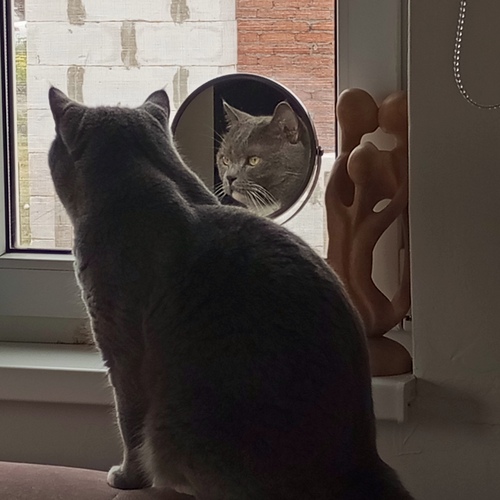 Photo #14025478