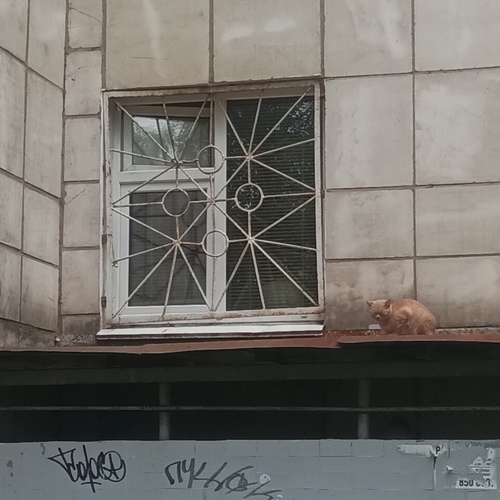 Photo #14025507