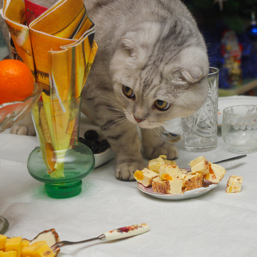 Photo #14025522