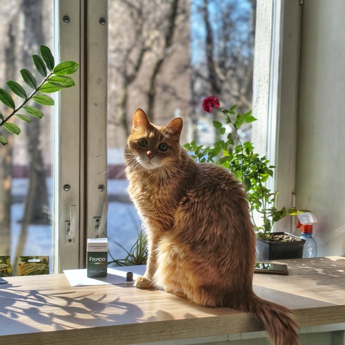 Photo #14025547