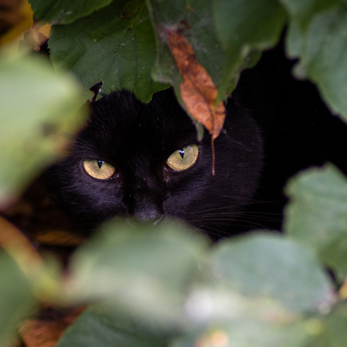 Photo #14025578