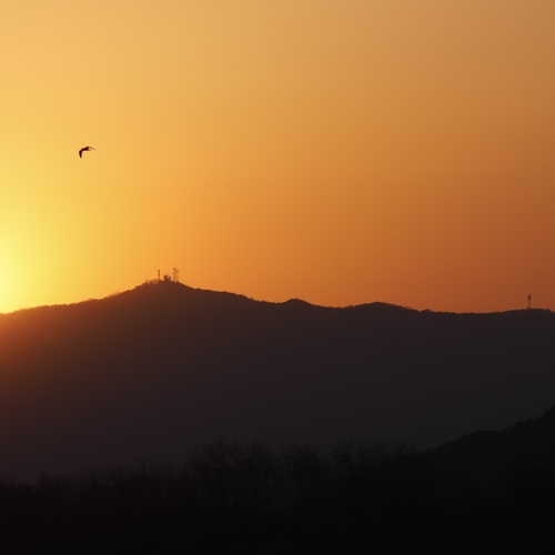 Photo #14025609