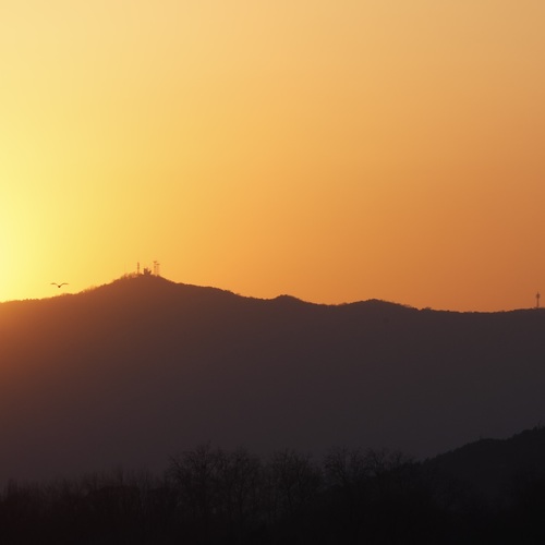Photo #14025610