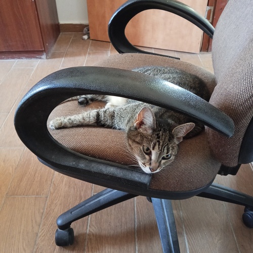 Photo #14025619