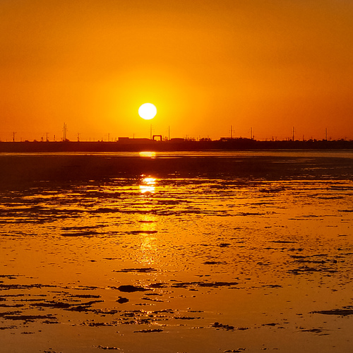 Photo #14025625