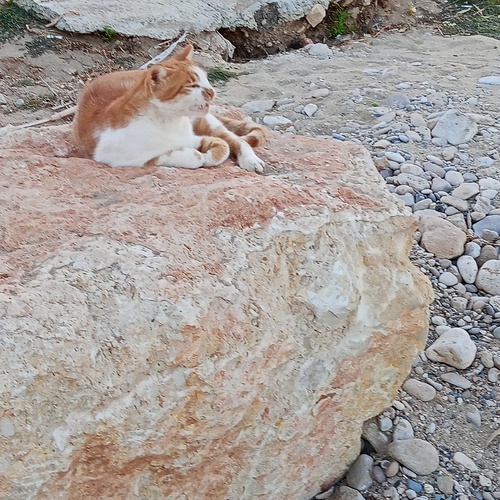 Photo #14025626