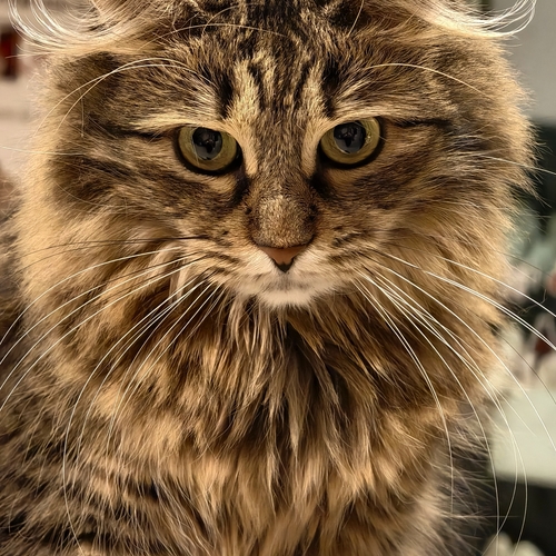 Photo #14025628