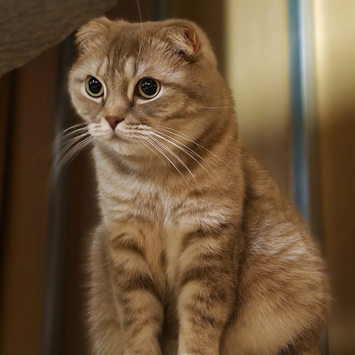 Photo #14025630
