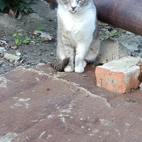 Photo #14025657