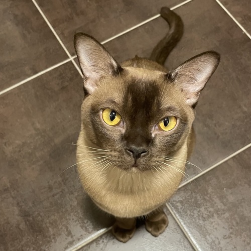 Photo #14025659