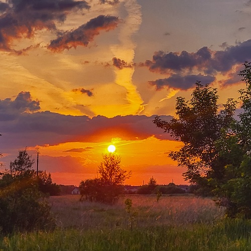 Photo #14025663