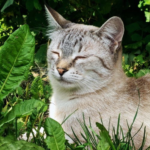 Photo #14025675