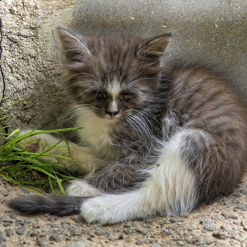 Photo #14025686