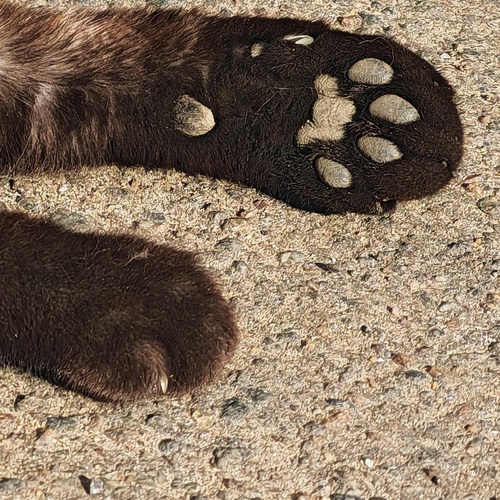 Photo #14025689