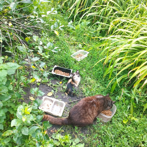 Photo #14025691