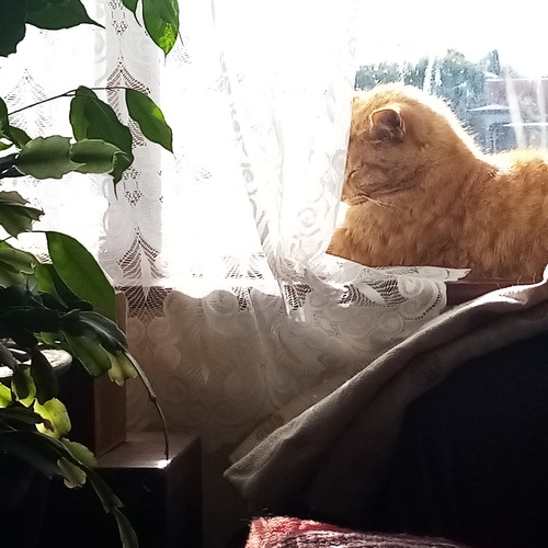 Photo #14025734