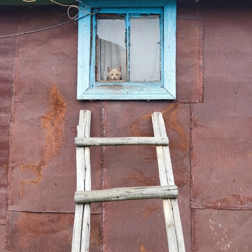Photo #14025746