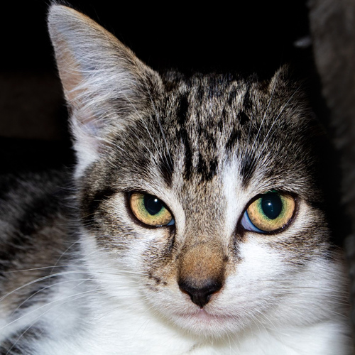 Photo #14025753
