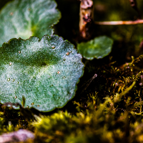 Photo #14025759