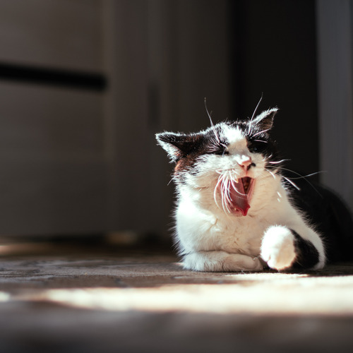 Photo #14025767