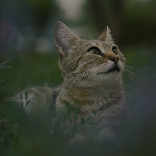 Photo #14025784