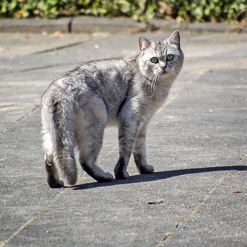Photo #14025802