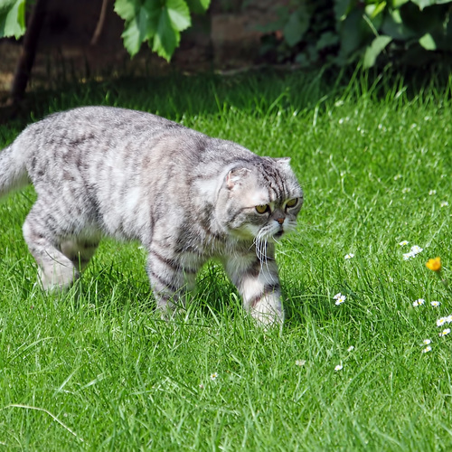 Photo #14025806
