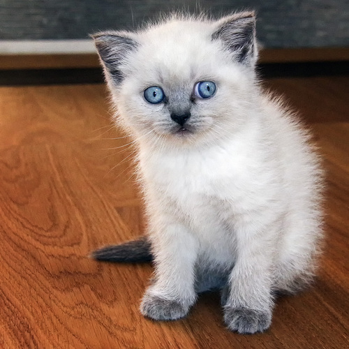 Photo #14025809