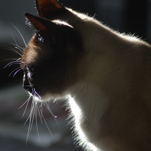 Photo #14025861