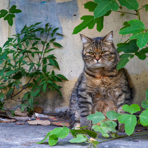 Photo #14025873