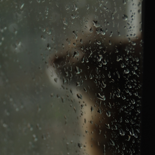 Photo #14025889